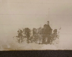 Schadensbild-2_15.02.23