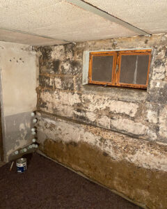 121_Schnabel,-Westerburg