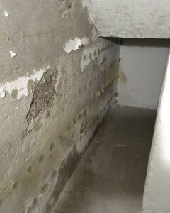 133_Weber,-St.-Sebastian