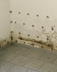 137_Kohler,-KO-Guels