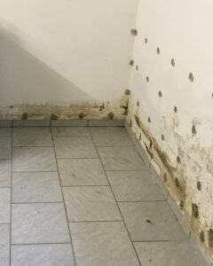 138_Kohler,-KO-Guels