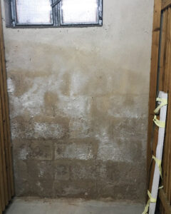 144_Kronewald,-Kettig