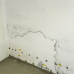 160_Kremer,-Neuhäusel