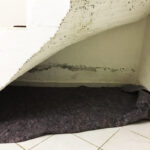 170_Hoffmann,-Niederfell