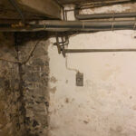 176_Greis,-Bad-Marienberg