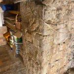 178_Greis,-Bad-Marienberg